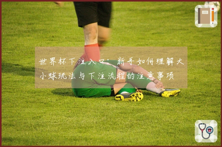 世界杯下注入口：新手如何理解大小球玩法与下注流程的注意事项